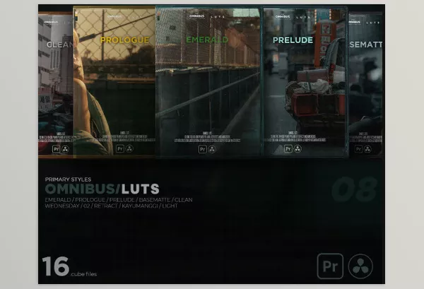 Benj Villena – Omnibus LUTS Download