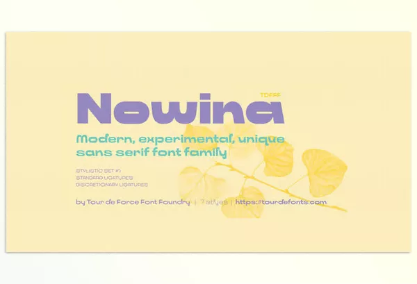 Myfonts – Nowina Font Family Download