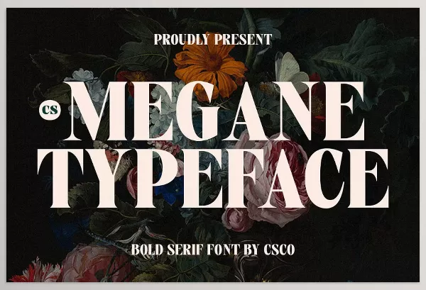 Creative Market – CS Megane Bold Font Download 291134229