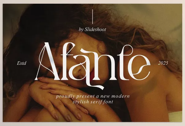 Creative Market – Afante Modern Stylish Serif Font Download 291309897