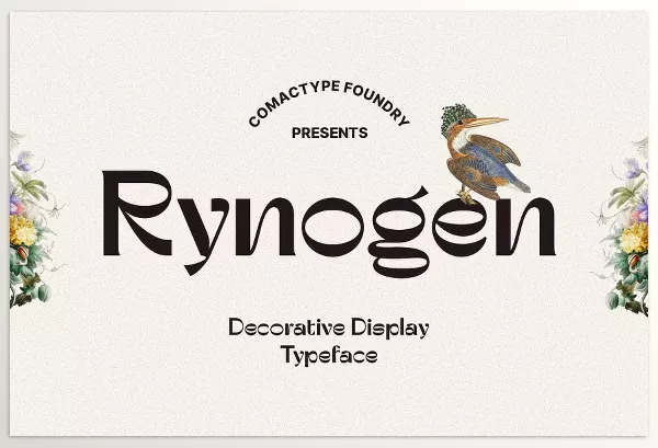 Creative Market – Rynogen Decorative Typeface Download 291235288