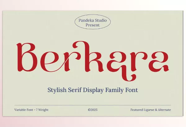 Creative Market – Berkara Stylish Serif Display Download 291339675