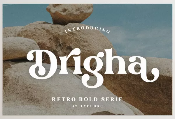 Creative Market – Drigha Stylish Serif Font Download 291232444