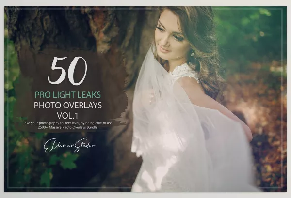 Artstation – 50 Pro Light Leaks Photo Overlays Vol. 1 Download