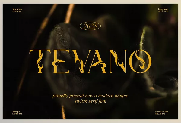 Creative Market – Tevano Modern Unique Serif Font Download 291534532